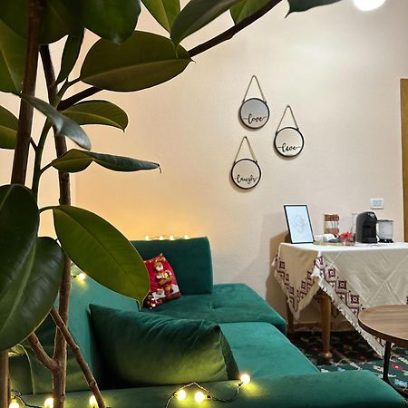 Villa Malo Guesthouse 科尔察 外观 照片