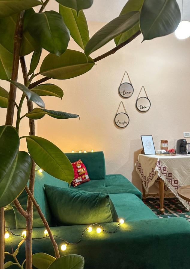 Villa Malo Guesthouse 科尔察 外观 照片