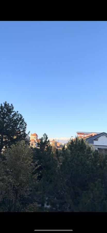 Villa Malo Guesthouse 科尔察 外观 照片